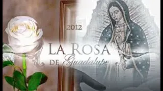 La Rosa de Guadalupe Soundtrack Tensión