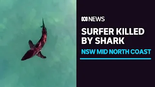 Surfer killed in shark attack on NSW Mid-North Coast tried to warn others of danger | ABC News