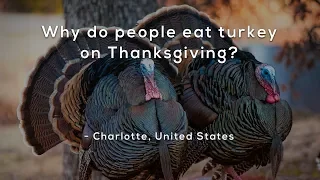 Why do people eat turkey on Thanksgiving?