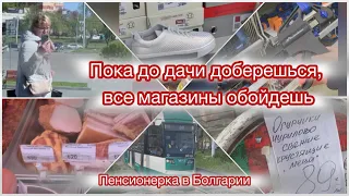 Такое пиво вижу первый раз)))/ май,2024/Собрались на дачу, а сами по магазинам/ на пенсию в Болгарию