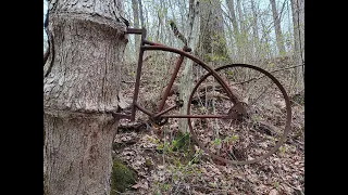 Old Bike Stuck in Tree in the Woods