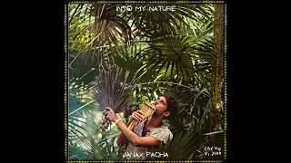 Into my Nature - Janax Pacha ◈ Live Looping ◈ Cosmovisions Records ◈