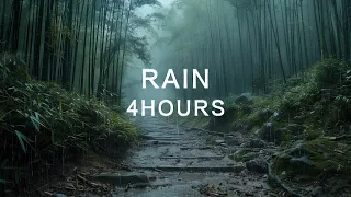 Strolling through the misty bamboo forest | Rain Sound for Sleeping & Relaxation