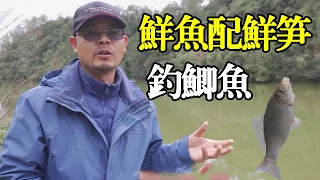 精彩，老曹钓上鲫鱼，拿鱼换笋，船长制作美味笋煲鱼！【户外老曹】