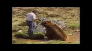 How to  filming of the French movie The Bear (l'Ours)