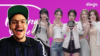 (G)I-DLE ((여자)아이들) - DINGO KILLING VOICE REACTION | INSANELY TALENTED