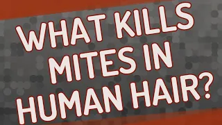 What kills mites in human hair?