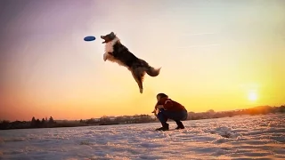 Winter dogfrisbee training-Charlie-Australian Shepherd