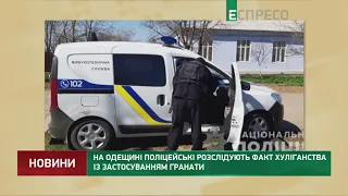 В Одесской области полицейские расследуют факт хулиганства с применением гранаты