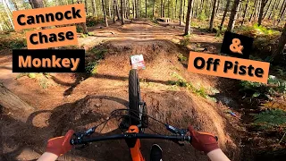 Cannock Chase Monkey trail and off piste