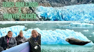 Tracy Arm Fjord/Glacier Explorer/Sawyer Glacier/Alaskan Views