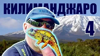 Climbing Kilimanjaro - episode #4