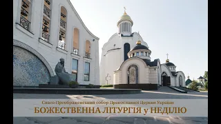 24.07.2022 | Божественна літургія у неділю | Спасо-Преображенський собор