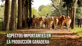 ASPECTOS IMPORTANTES en la PRODUCCIÓN GANADERA - TvAgro por Juan Gonzalo Angel Restrepo