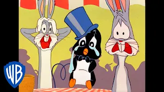 Looney Tunes | The Journey to Get Penguin Home | Classic Cartoon | WB Kids