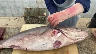 Arabian Street Food -GOLIATH GROUPER FISH Cutting| Giant Grouper Cutting Skill| Massive Grouper Fish