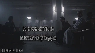 Steter _ Стайлз и Питер • Довела