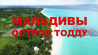 Бюджетные Мальдивы. Остров Тодду. Как съездить на Мальдивы и не оставить состояние. Стоит ли ехать?