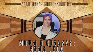 МИФЫ. ЯЗЫК ТЕЛА СОБАК