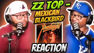 ZZ Top - Mexican Blackbird (REACTION) #zztop #reaction #trending