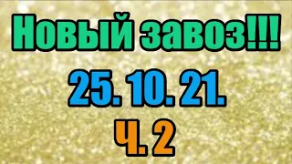 🌸Продажа орхидей. ( Завоз 25. 10. 21 г.) 2 ч. Отправка только по Украине. ЗАМЕЧТАТЕЛЬНЫЕ КРАСОТКИ👍