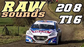 RAW sounds - Peugeot 208 T16