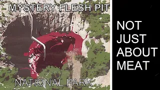 The Mystery Flesh Pit - More Than Meat