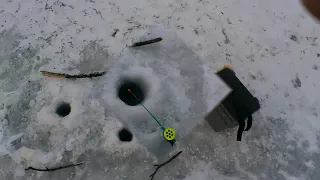 Рыбалка, ловля хариуса со льда