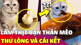 Con Sen 'BÀY TRÒ' thử lòng chú mèo khi biến đứa bạn thân 'THÀNH VỊT QUAY' và cái kết 😅 Gâu Đần