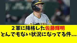 【阪神】佐藤輝明、２軍でとんでもない状況になってる件。。