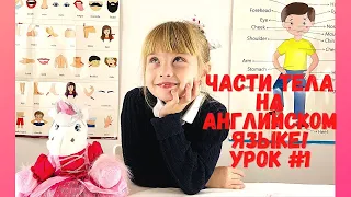 Части тела на английском языке | Для детей и начинающих I Урок #1 I MashaUh