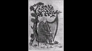 The Memoirs of Arthur O Neill the 18th century Irish Harper Part 1 (The first Journey)