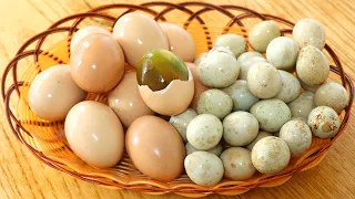 Make PiDan eggs at home, simple and practical, 3 days to get them, tender and fine