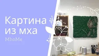 Живая картина из мха (с корой и древесными грибами)