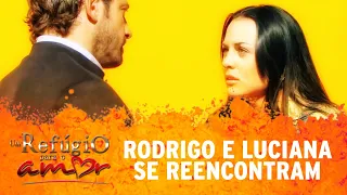 Um Refúgio Para o Amor | Rodrigo e Luciana se reencontram
