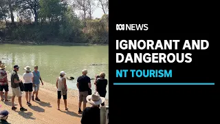 Tourists risking lives to see crocodiles at Cahills Crossing in Kakadu National Park | ABC News