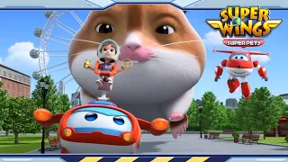 Hamster Disaster | Super wings season 5 | Super wings super pets | EP25