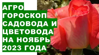 Агрогороскоп садовода и цветовода на ноябрь 2023 Agrohoroscope for gardeners and florists for Novemb