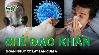 TP. HCM Chỉ Đạo Khẩn Ngăn Nguy Cơ Lây Lan Cúm A | SKĐS