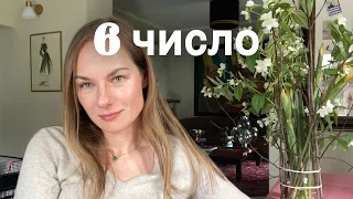 Родиться 6 числа. Общительность, верность и свобода