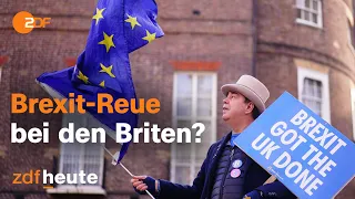 Persönliche Schicksale und schwache Wirtschaft: Bilanz nach zwei Jahren Brexit | auslandsjournal