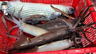 Assorted Seafood Sashimi Songdo Fish Market Pohang Korea 포항 송도 활어회센터 해물모듬회 24 squid etc