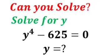 A Nice Algebra Equation with Exponents | Solve for y!