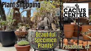 304: Plant Shopping: California Cactus Center, Pasadena CA | Great Selection! | Private Collection