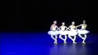 Пародия, танец лебедей