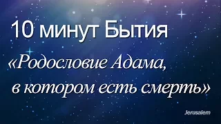 10 минут Бытия - 026(Бытие 5:1-4) / Родословие Адама и Иисуса