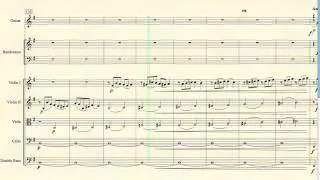 Roberto Di Marino - Double Concerto 1st mov.