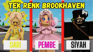 BROOKHAVEN'DA TEK RENK CHALLENGE🏡ARIGİLLER🐝TUBA ARI🐝ROBLOX Brookhaven🏡RP