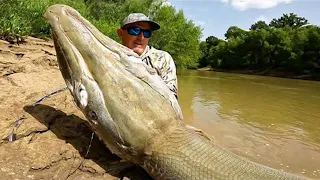 10 River Monsters Caught in the Amazon!