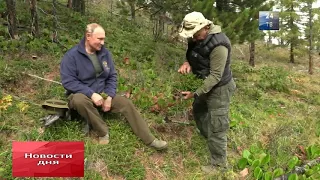 Отдых Путина в сибирской тайге показали на Видео